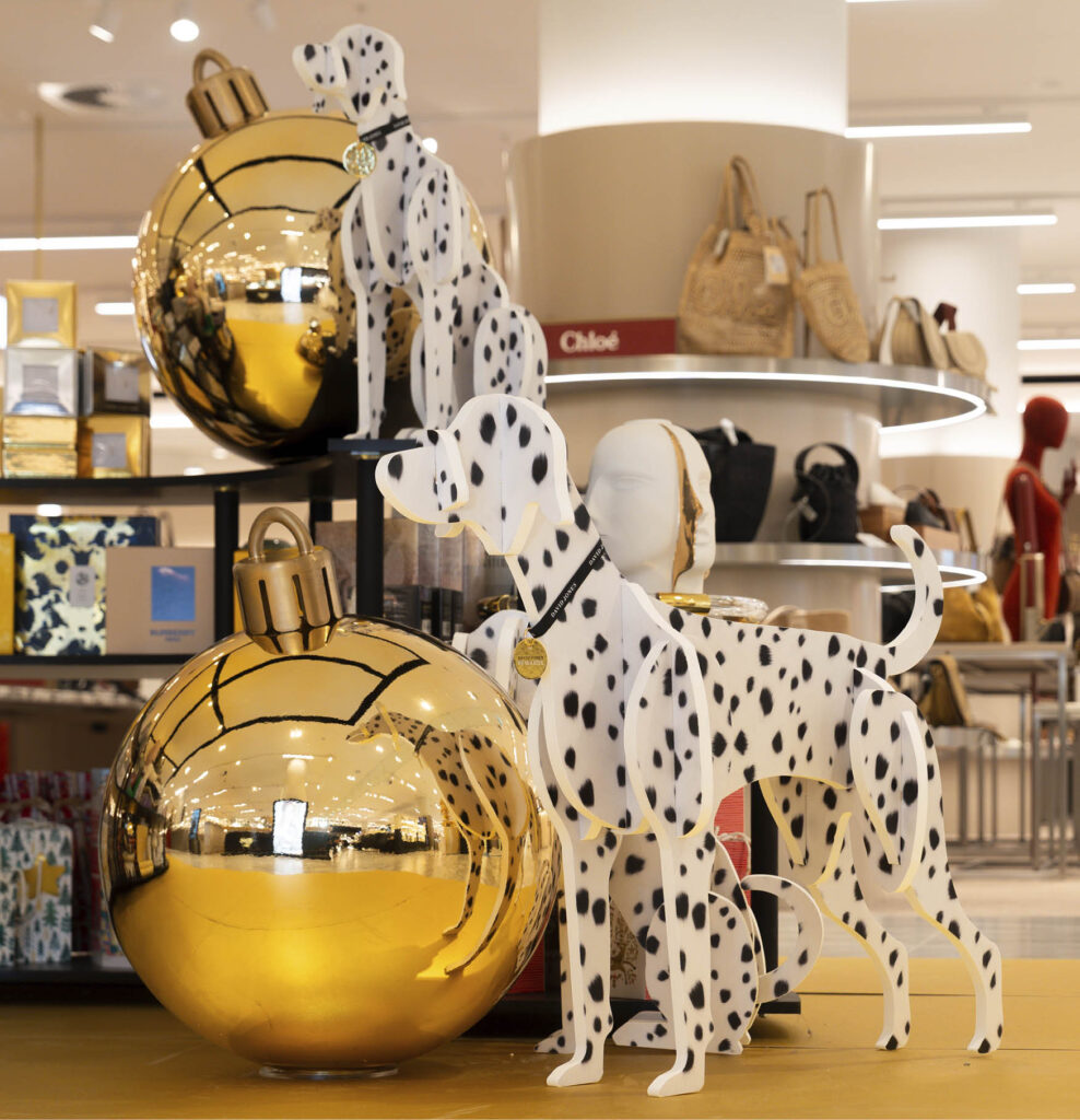 David Jones Chatswood Chase