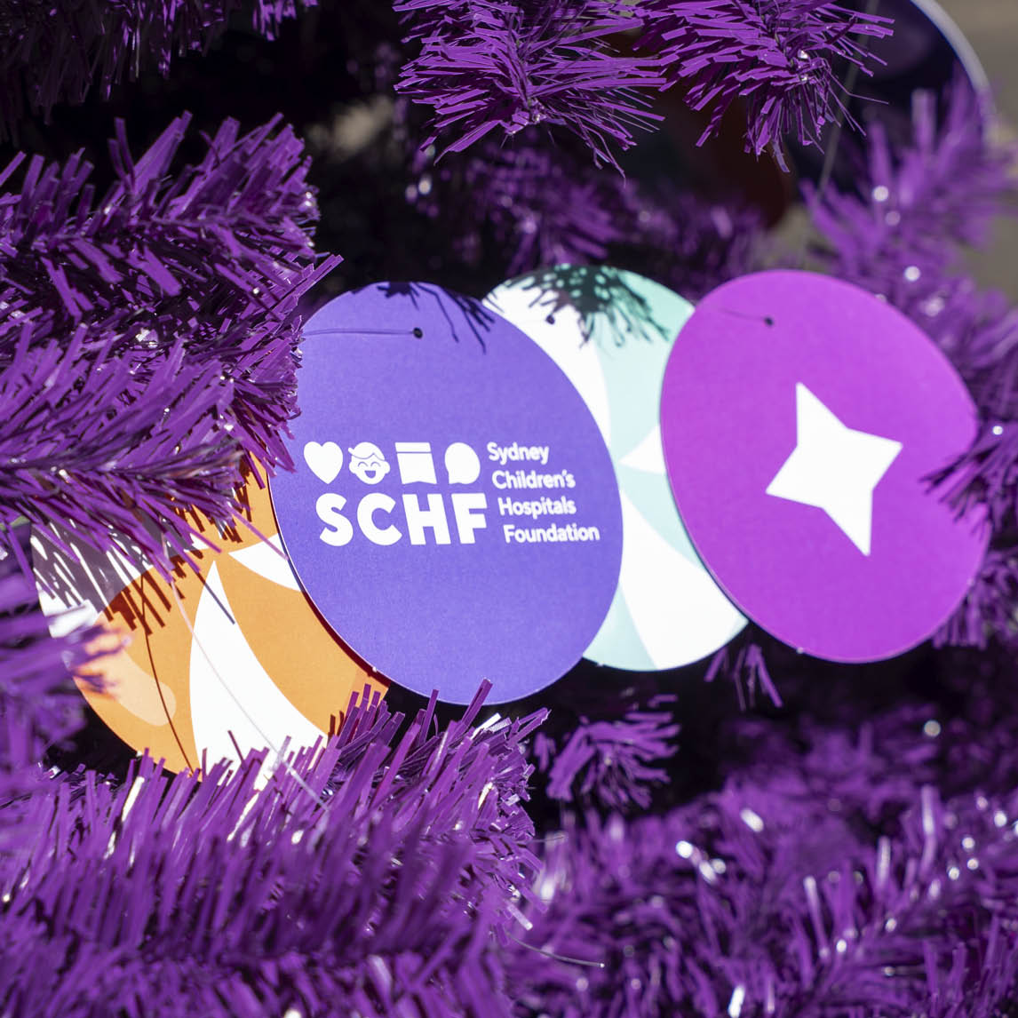 Sydney Childrens Hospital Foundation